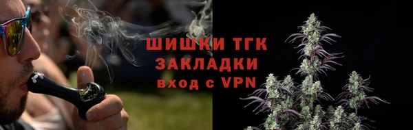 ПСИЛОЦИБИНОВЫЕ ГРИБЫ Нижний Тагил